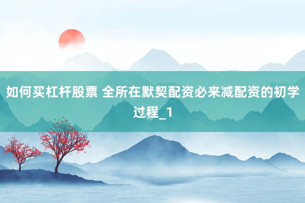 如何买杠杆股票 全所在默契配资必来减配资的初学过程_1