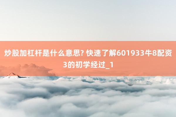 炒股加杠杆是什么意思? 快速了解601933牛8配资3的初学经过_1